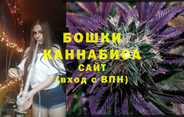 спиды Пересвет
