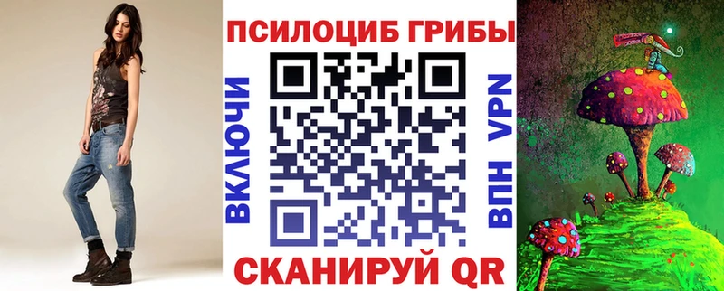 Псилоцибиновые грибы Psilocybine cubensis  Подпорожье 